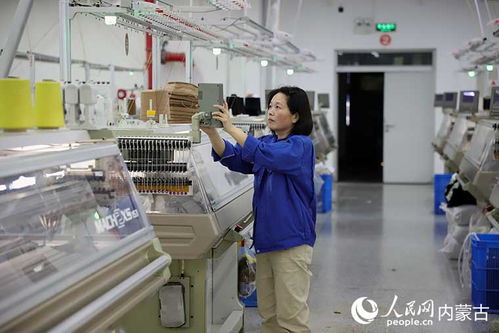 內蒙古鄂爾多斯市暖城 全力構筑世界級羊絨產業(yè)網絡設備體系